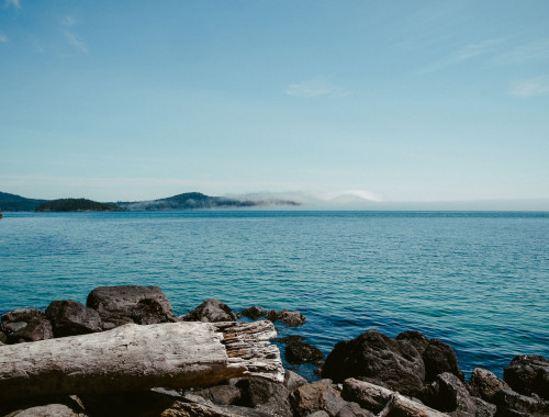 Contoura 1000 - Assortiment - Contourbedden