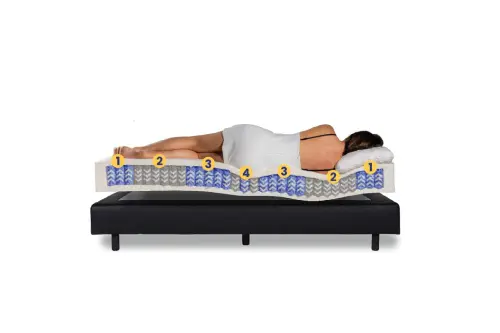 Contourbedden